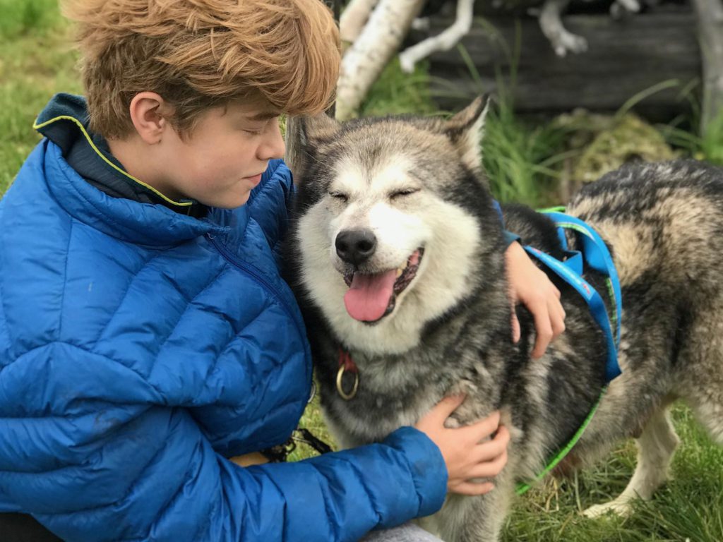 Visuel d'un adolescent qui enlace un chien nordique