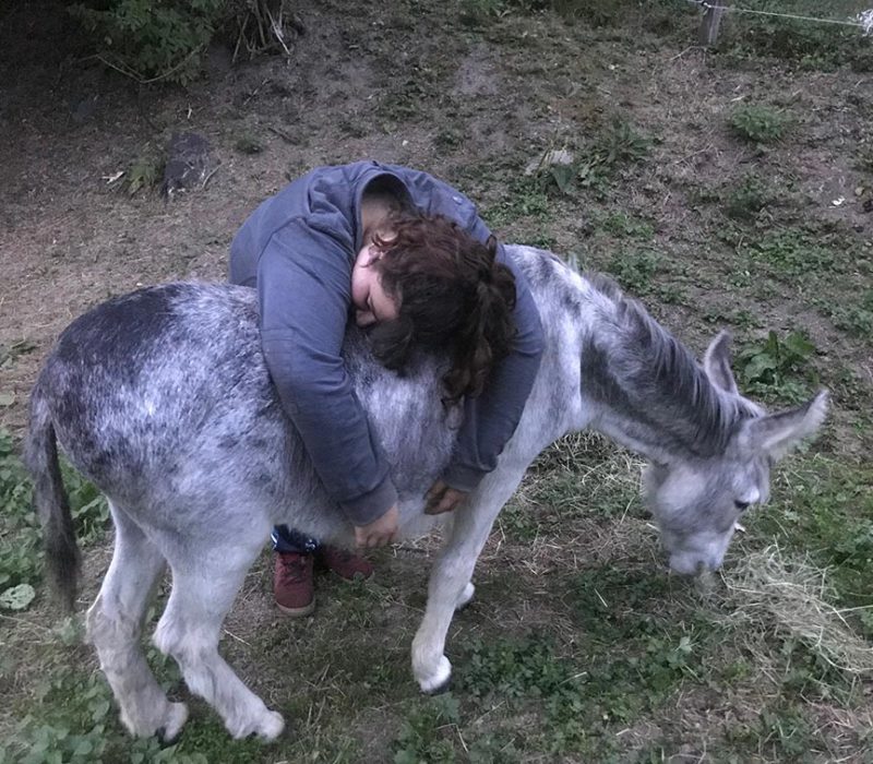 Une photo de médiation animale capturant la sérénité absolue d'un enfant, complètement détendu et relaxé, profitant du dos d'un tendre âne.